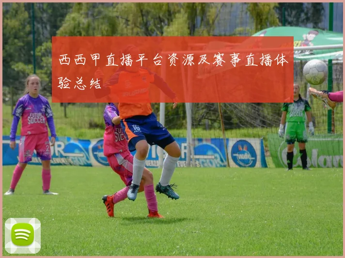 西西甲直播平台资源及赛事直播体验总结